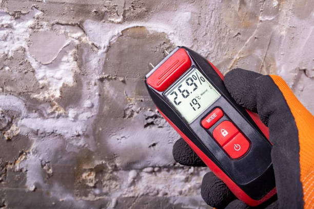 Best Mold Remediation  in Briggs, OK