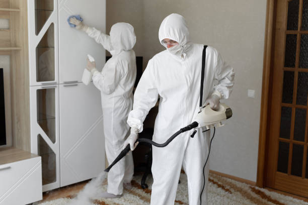 Best Mold Cleaning Services  in Briggs, OK