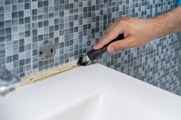 Best Same-Day Mold Removal  in Briggs, OK