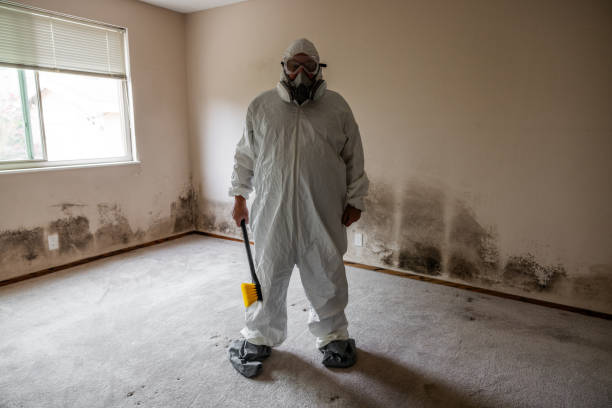 Best Mold Testing  in Briggs, OK